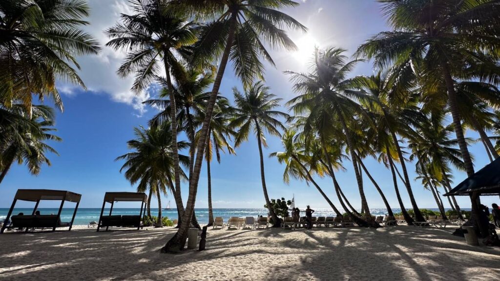 Saona & Catalina VIP Day in Punta Cana